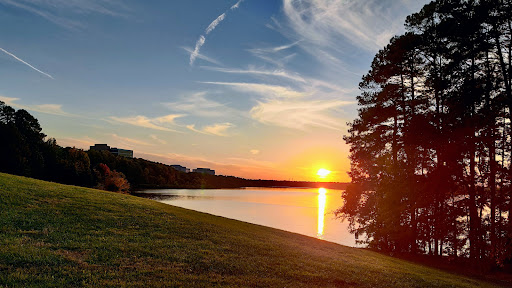 Old Reedy Creek Road Trailhead