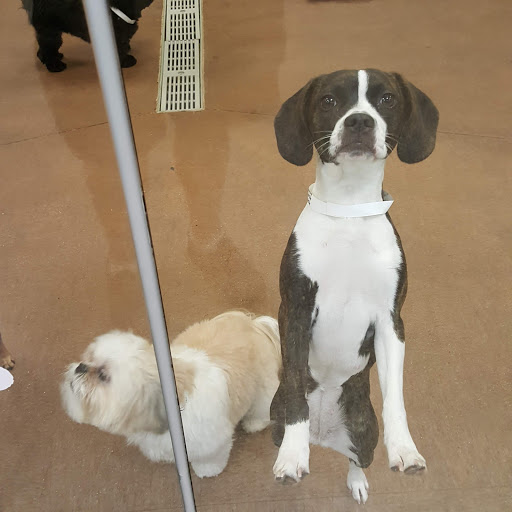 Pet Supply Store «PetSmart», reviews and photos, 114 Commerce Way, Woburn, MA 01801, USA