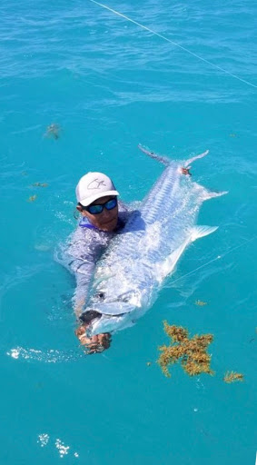 Fishing Store «Albemarle Angler», reviews and photos, 1129 Emmet St N, Charlottesville, VA 22903, USA