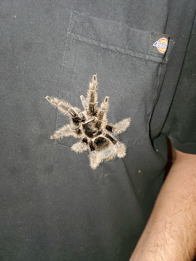 Pet Supply Store «Petco Animal Supplies», reviews and photos, 1110 Harter Pkwy, Yuba City, CA 95993, USA