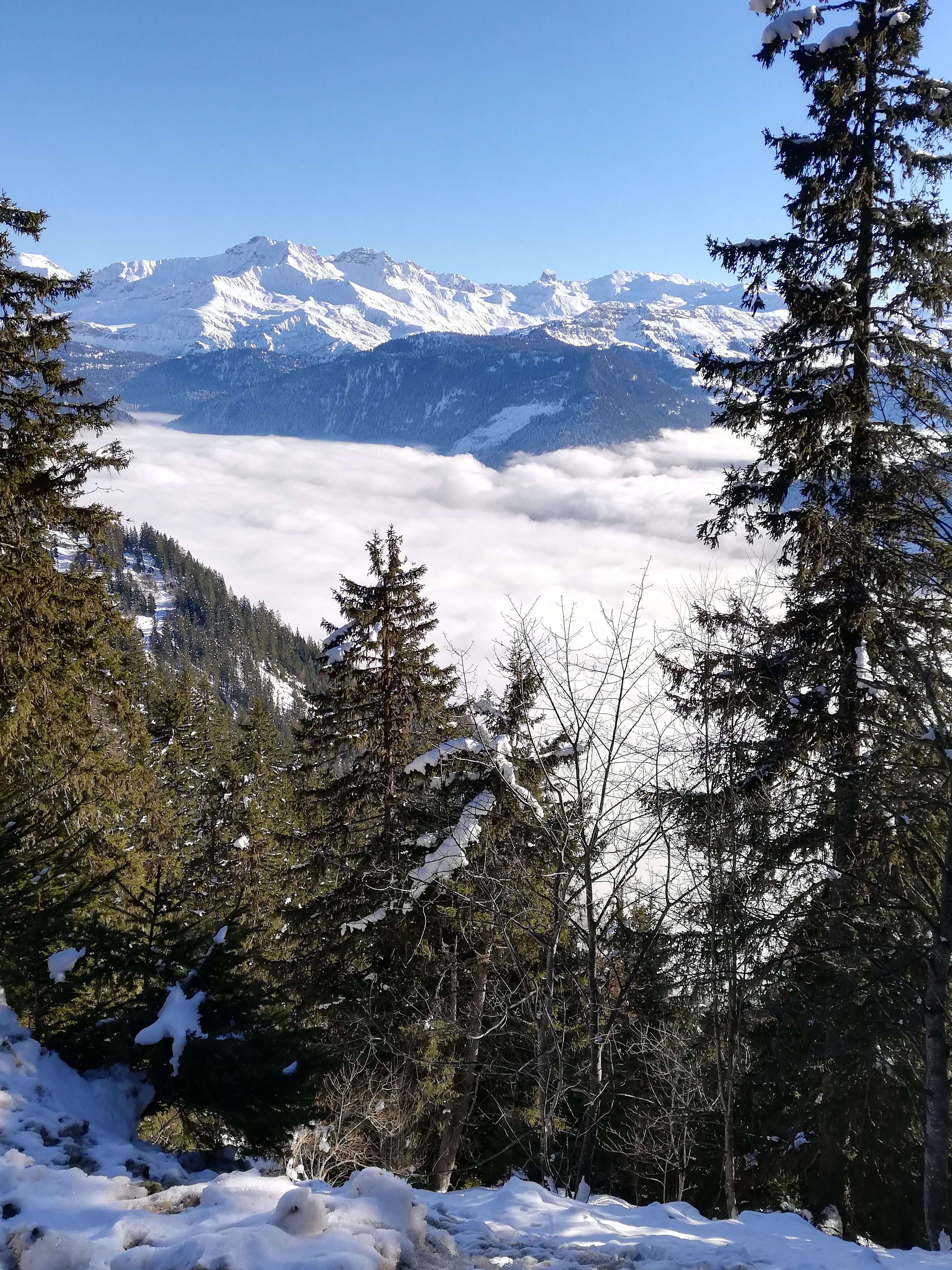 Photo n° 2 de l'avis de Philippe.a fait le 19/01/2024 à 18:13