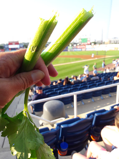 Stadium «Daniel S Frawley Stadium», reviews and photos, 801 Shipyard Dr, Wilmington, DE 19801, USA