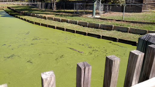 Zoo «Gators and Friends», reviews and photos, 11441 US-80, Greenwood, LA 71033, USA