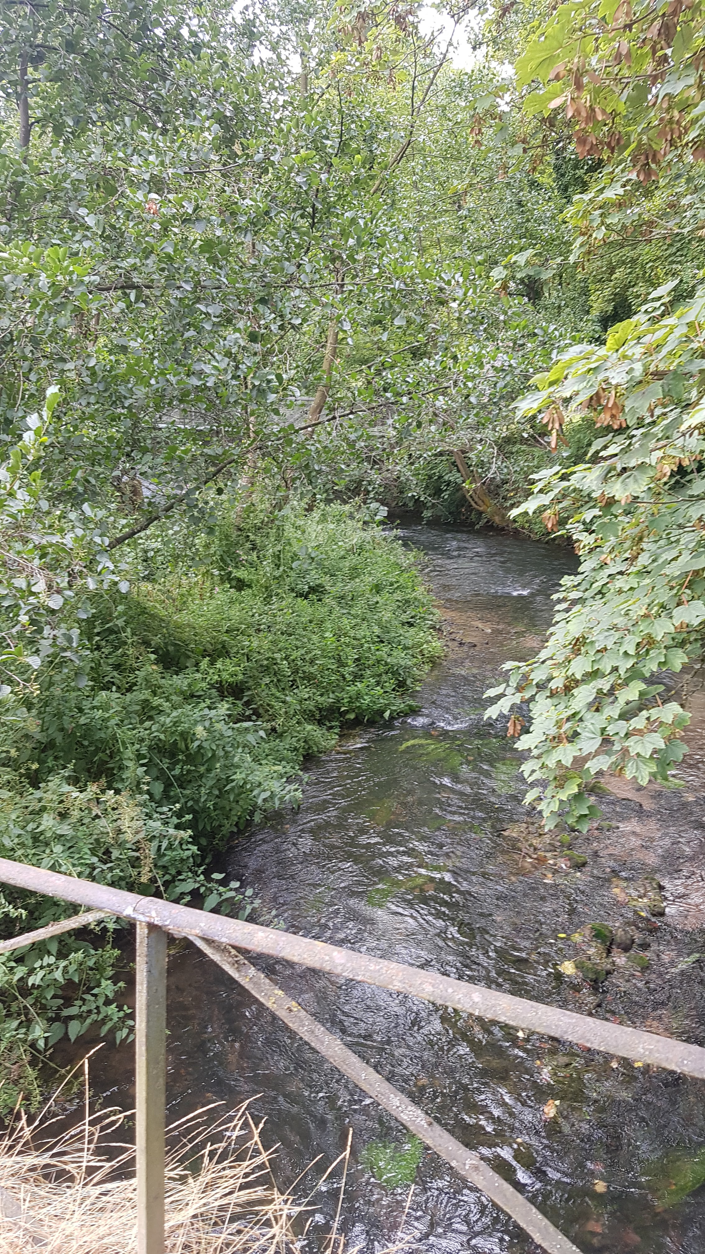 Photo n° 13 de l'avis de Sylvana.� fait le 22/08/2022 à 19:10