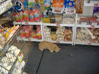 Pet store Acme Pet Food Inc - Photo 7 - Car repair in Brooklyn, NY, New York