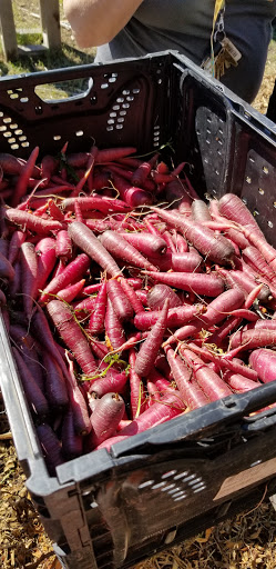 Non-Profit Organization «Central Texas Food Bank», reviews and photos