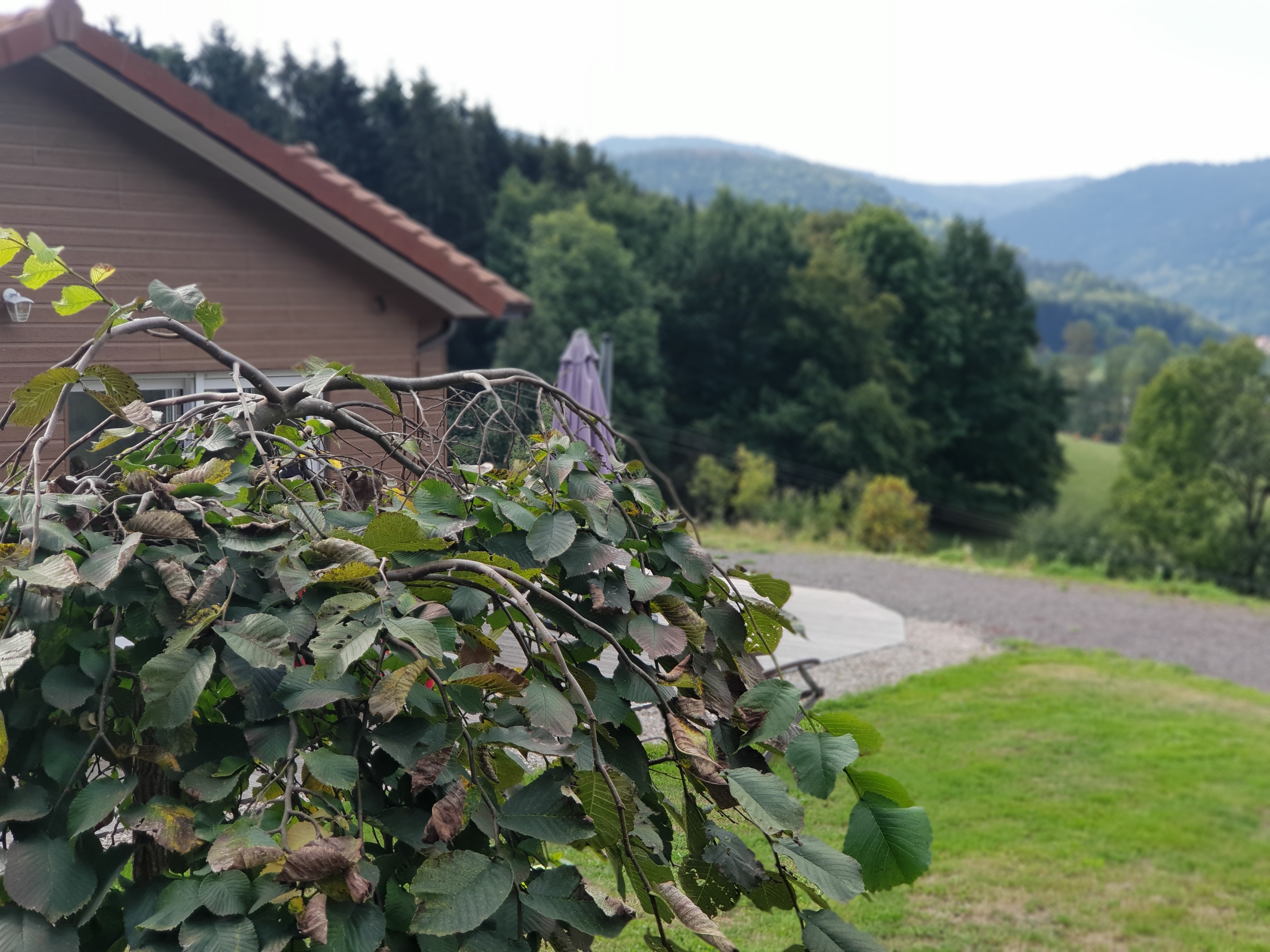 Photo n° 5 de l'avis de david.u fait le 20/09/2018 à 17:57