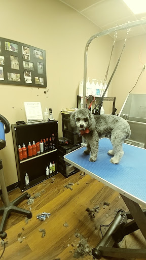 Pet Store «Pet Valu», reviews and photos, 2645 Shillington Rd, Sinking Spring, PA 19608, USA