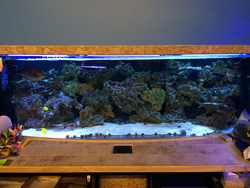 Pet Store «Woofs & Waves», reviews and photos, 5426 Arrowhead Pkwy E, Sioux Falls, SD 57110, USA