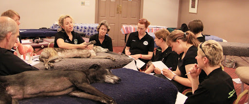 Canine Massage Therapy Centre Ltd