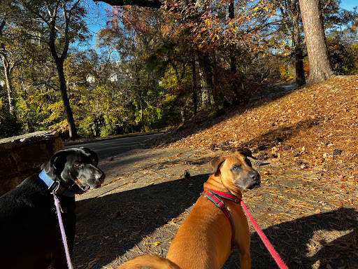 Park «Frankie Allen Park», reviews and photos, 100 Bagley St NE, Atlanta, GA 30305, USA