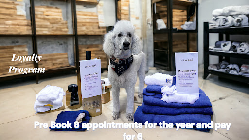 Adorable Animal Designs Quantum Pet Spa