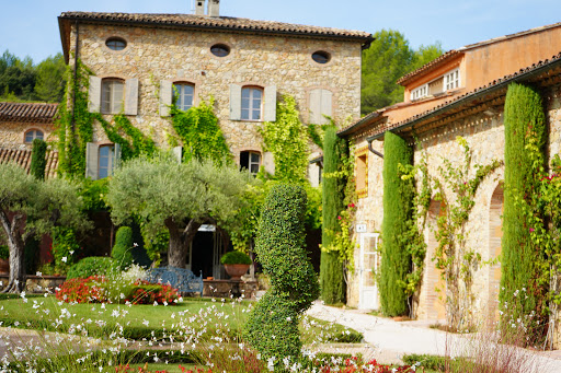 Grape Tours in Provence