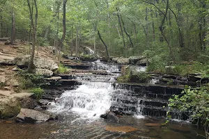 Collins Creek Trailhead image