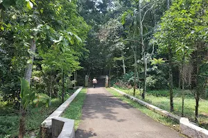 Bogor Forest Science Park image