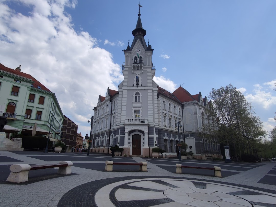 Kaposvár, Macaristan