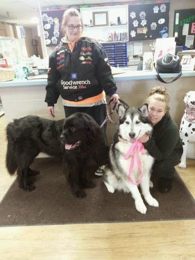 Animal Shelter «South Suburban Humane Society», reviews and photos