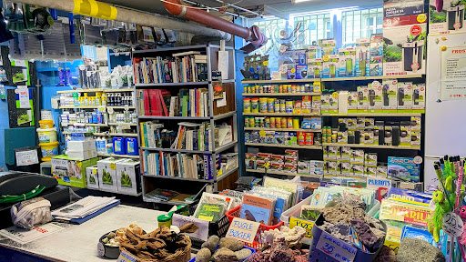 Planteimporten - Akvariebutik and fish in Copenhagen in Copenhagen, København