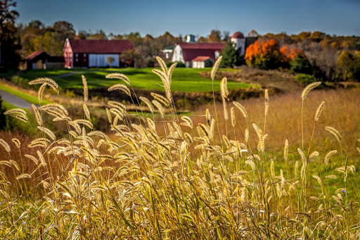 Public Golf Course «Little Bennett Golf Course», reviews and photos, 25900 Prescott Rd, Clarksburg, MD 20871, USA