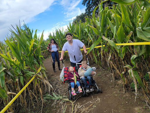 Pumpkin Patch «Rutledge Corn Maze LLC», reviews and photos, 302 93rd Ave SE, Olympia, WA 98501, USA