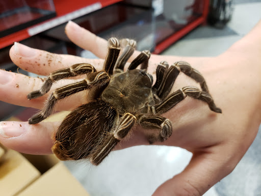 Pet Supply Store «Petco Animal Supplies», reviews and photos, 600 N Galleria Dr, Middletown, NY 10941, USA