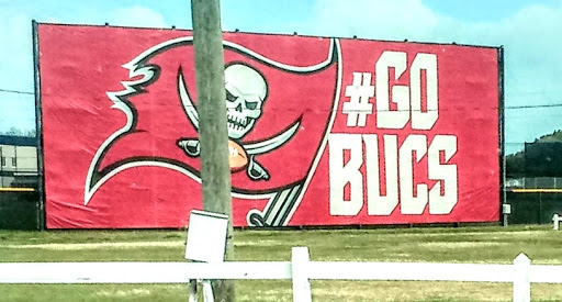 Stadium «Raymond James Stadium», reviews and photos, 4201 N Dale Mabry Hwy, Tampa, FL 33607, USA