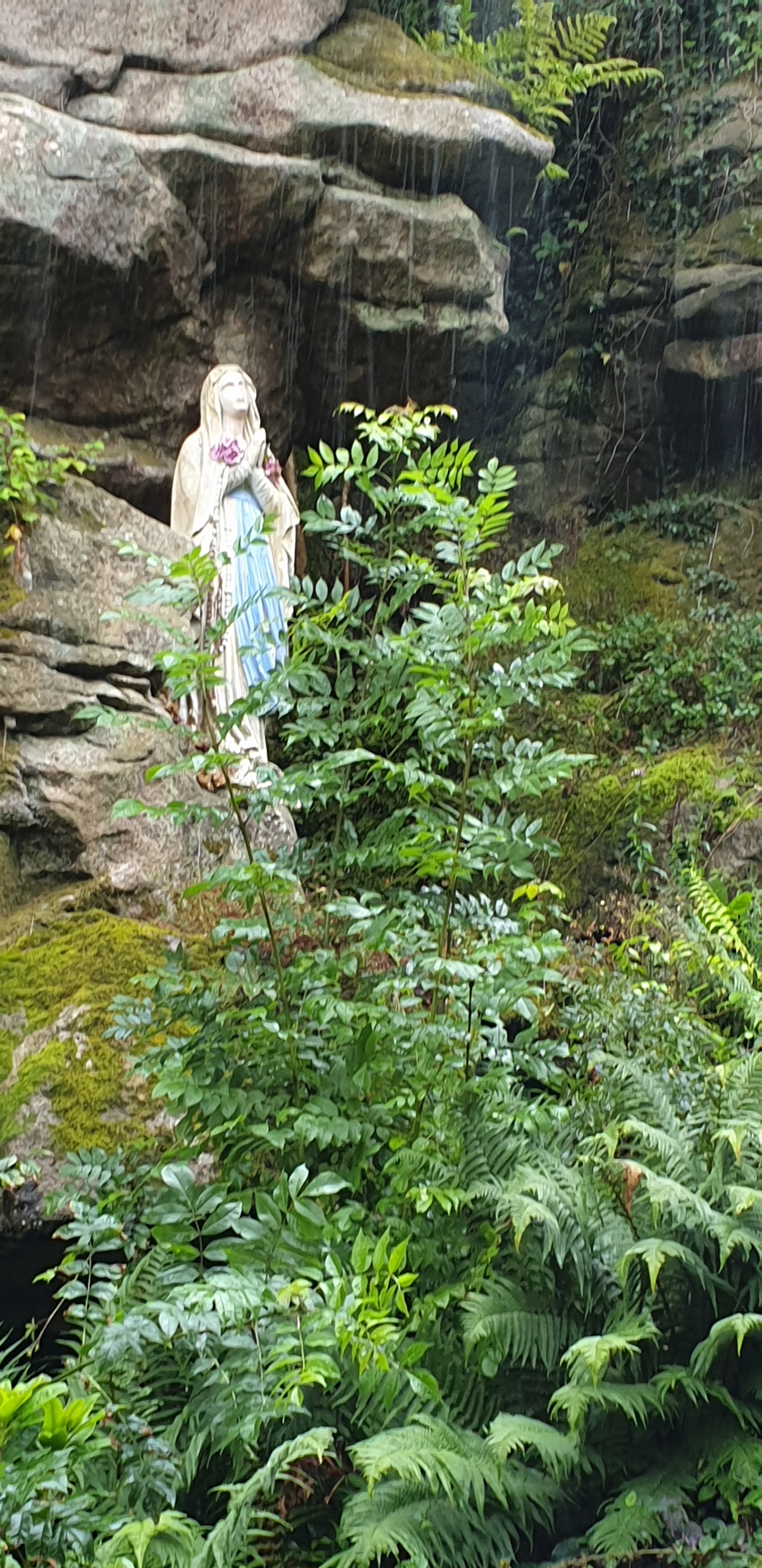 Photo n° 2 de l'avis de Jean-françois.o fait le 31/07/2021 à 21:18