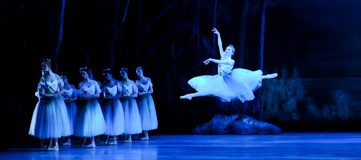 Dance Company «Pittsburgh Ballet Theatre», reviews and photos, 2900 Liberty Ave, Pittsburgh, PA 15201, USA