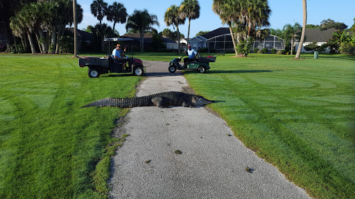 Golf Club «Oaks National Golf Club», reviews and photos, 1500 The Oaks Blvd, Kissimmee, FL 34746, USA