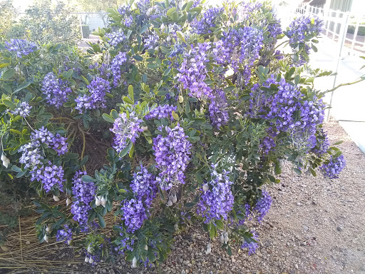 Park «Paradise Valley Park», reviews and photos, 17642 N 40th St, Phoenix, AZ 85032, USA