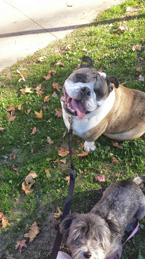 Pet Supply Store «Centinela Feed & Pet Supplies», reviews and photos, 4700 Pacific Coast Hwy, Long Beach, CA 90804, USA