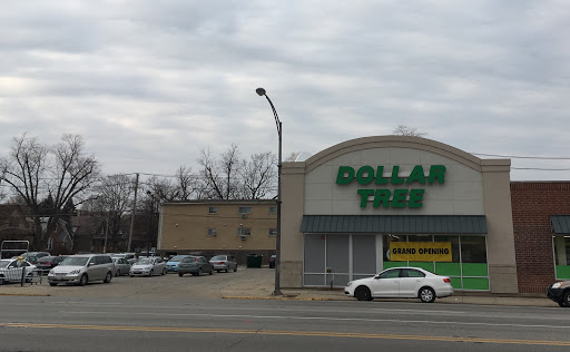 Dollar Store «Dollar Tree», reviews and photos, 7709 W Roosevelt Rd, Forest Park, IL 60130, USA