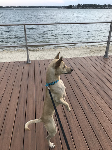 Pet Supply Store «PetSmart», reviews and photos, 2391 NJ-66, Ocean Township, NJ 07712, USA