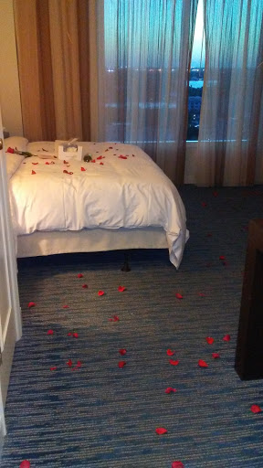 Beach Resort «Hilton Fort Lauderdale Beach Resort», reviews and photos, 505 N Fort Lauderdale Beach Blvd, Fort Lauderdale, FL 33304, USA