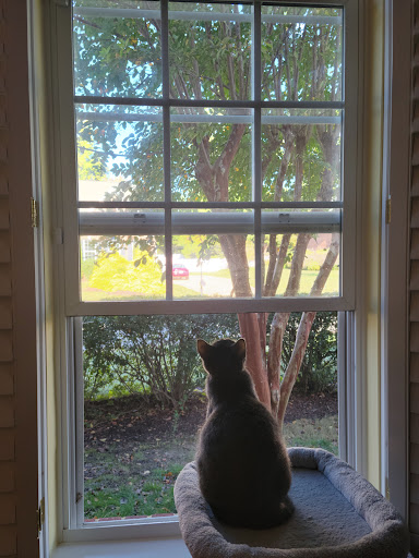 Pet Supply Store «PetSmart», reviews and photos, 4900 Monticello Ave, Williamsburg, VA 23188, USA