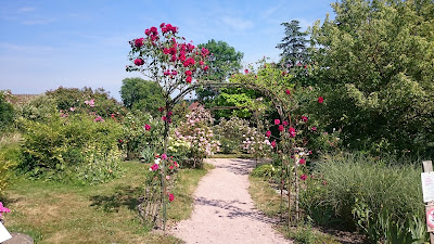 La Roseraie des villages de France à La Celle-en-Morvan