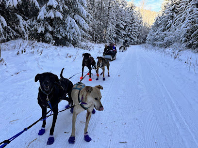 Blackcomb Dogsled Base