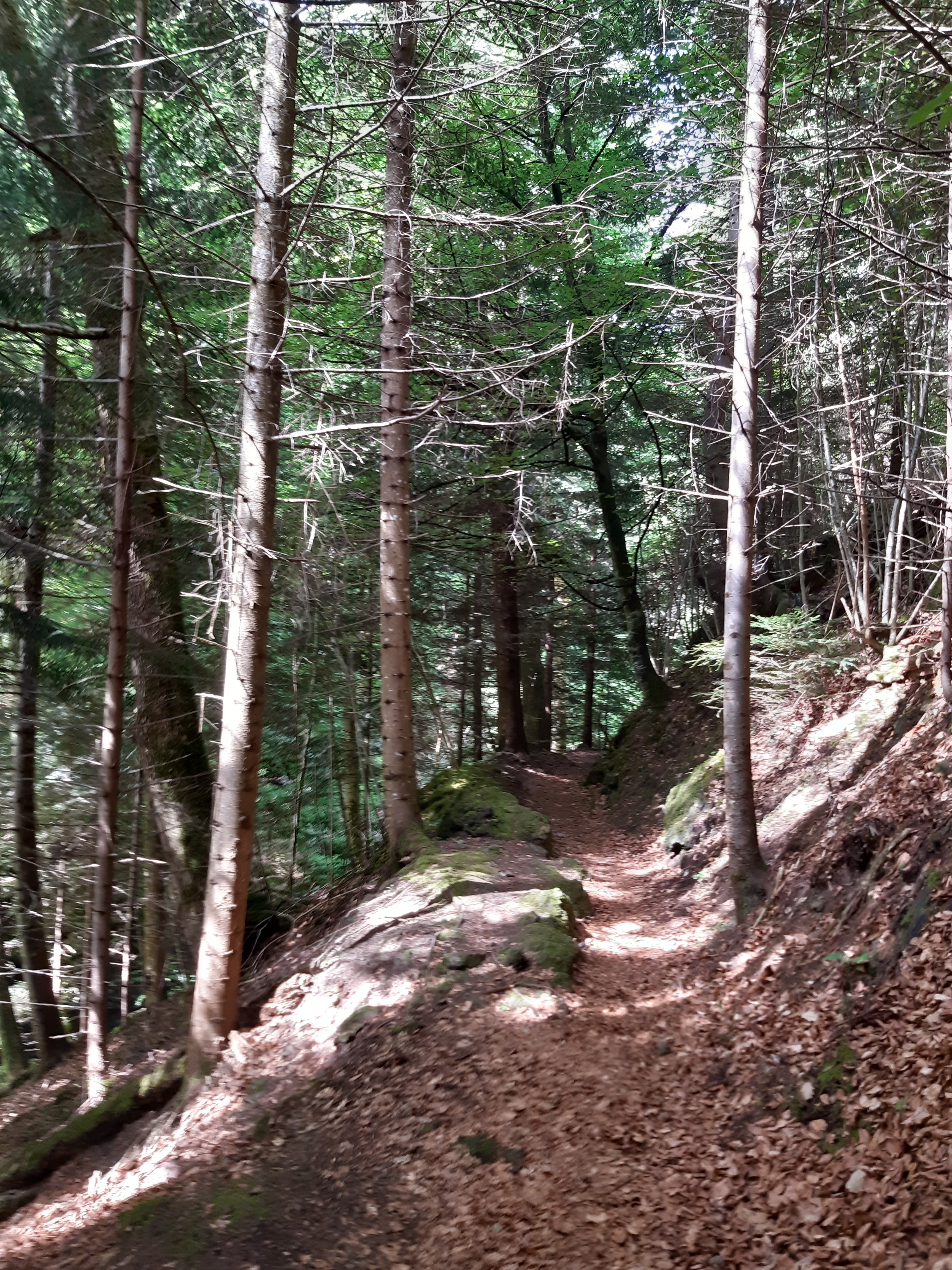 Photo n° 2 de l'avis de Rose.i fait le 05/07/2022 à 16:30
