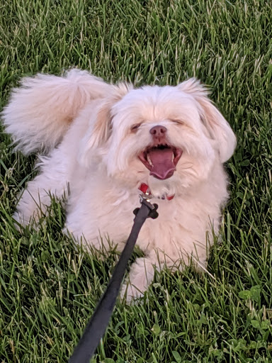 Park «Shorewood Four Seasons Park», reviews and photos, 25520 W Seil Rd, Shorewood, IL 60404, USA