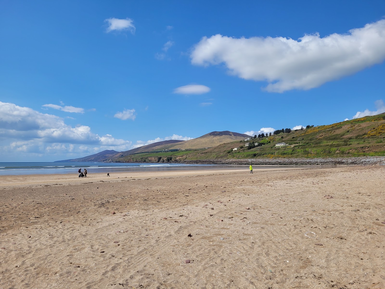 Foto di Inch Beach con costa lunga e dritta