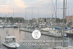 Advanced Endodontics & Microsurgery of Stamford PC image