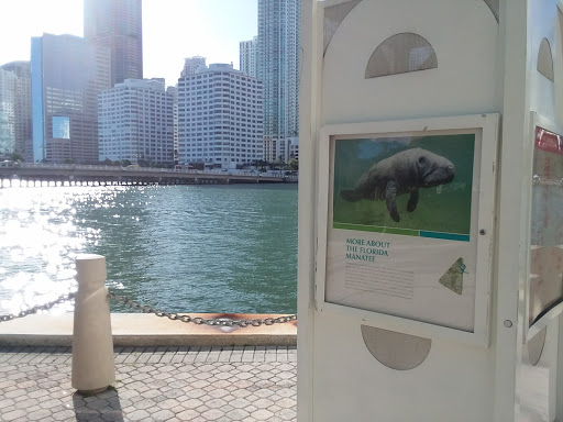 Tax Attorney «The Tax Firm of Charles J. Zimmerer, PA», reviews and photos