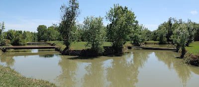 La pêcherie à Damvix