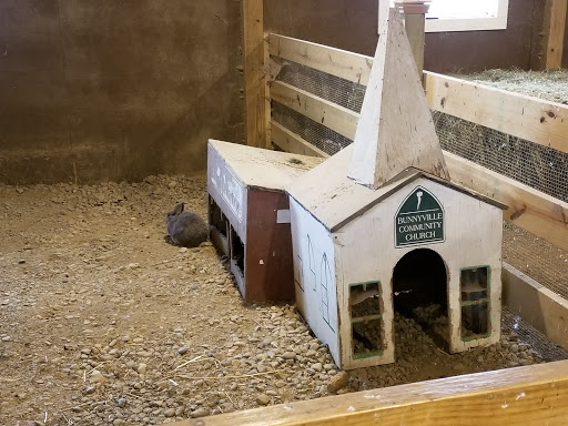 Orchard «Barton Orchards - Noxon Road Store Open Year Round - The Farm is CLOSED for the Season.», reviews and photos, 63 Apple Tree Ln, Poughquag, NY 12570, USA