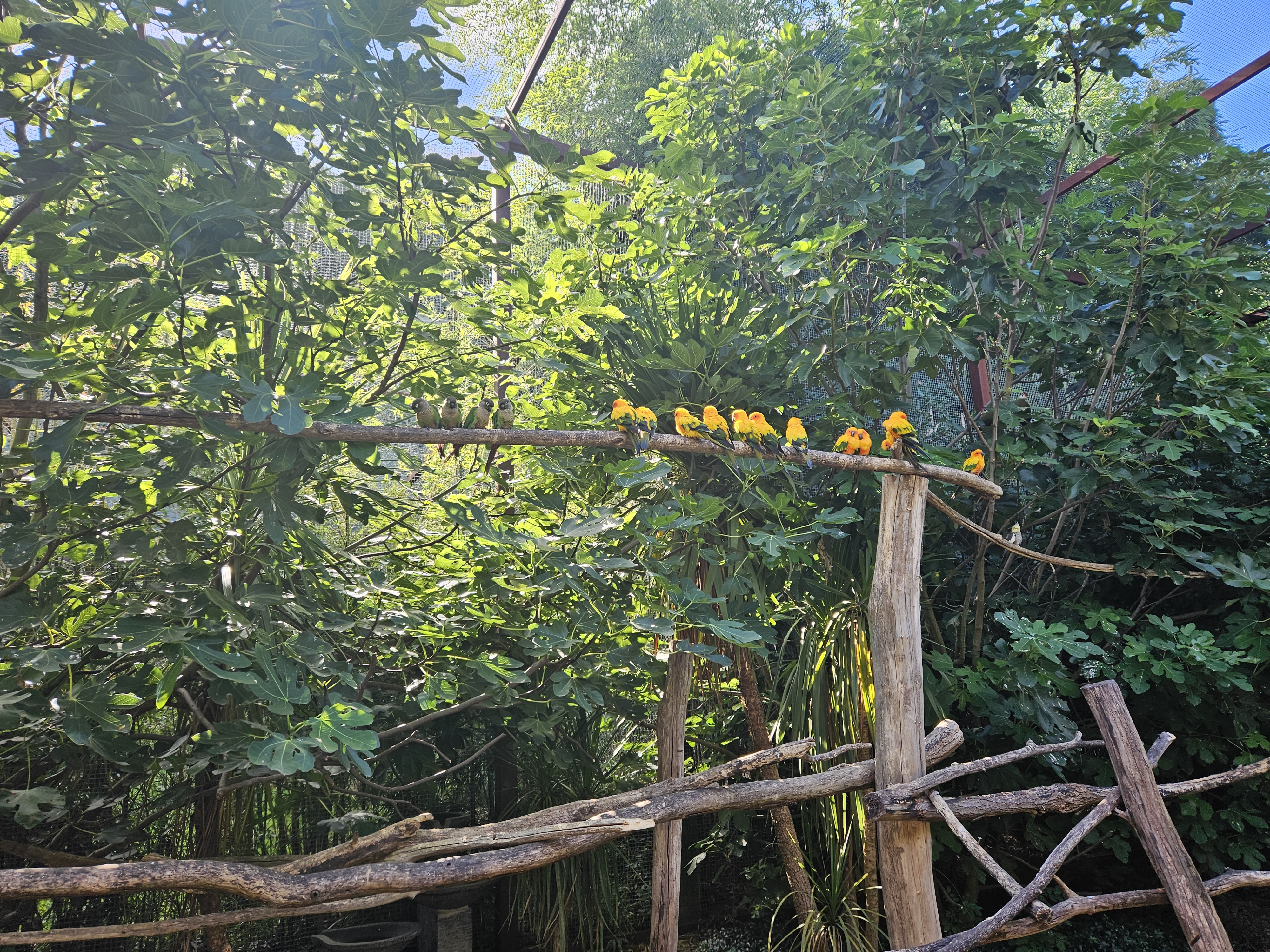 Photo n° 7 de l'avis de Christian.o fait le 01/08/2023 à 19:28