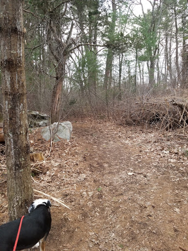 Farm «Pequitside Farm», reviews and photos, 79 Pleasant St, Canton, MA 02021, USA