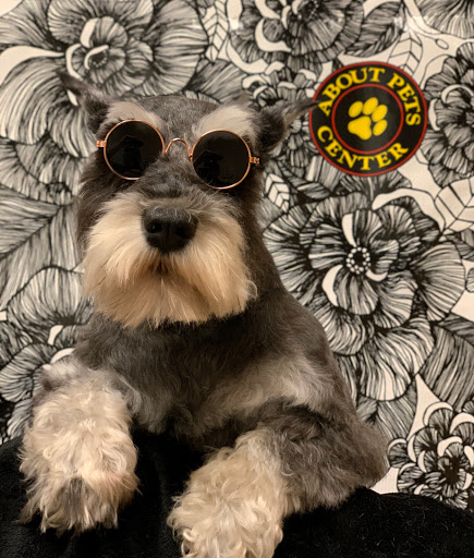 Pet Boarding Service «About Pets Center», reviews and photos, 1604 Conehurst Blvd, Salem, VA 24153, USA