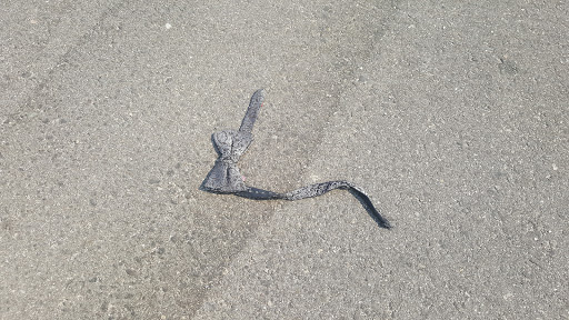 Auto Parts Store «AutoZone», reviews and photos, 7448 Foothill Blvd, Tujunga, CA 91042, USA