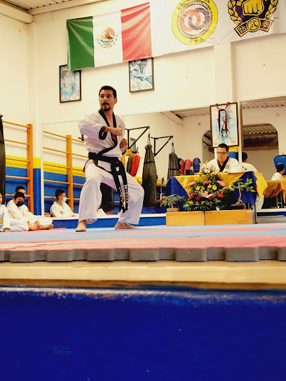 MOO DUK KWAN CEIBA HUATULCO