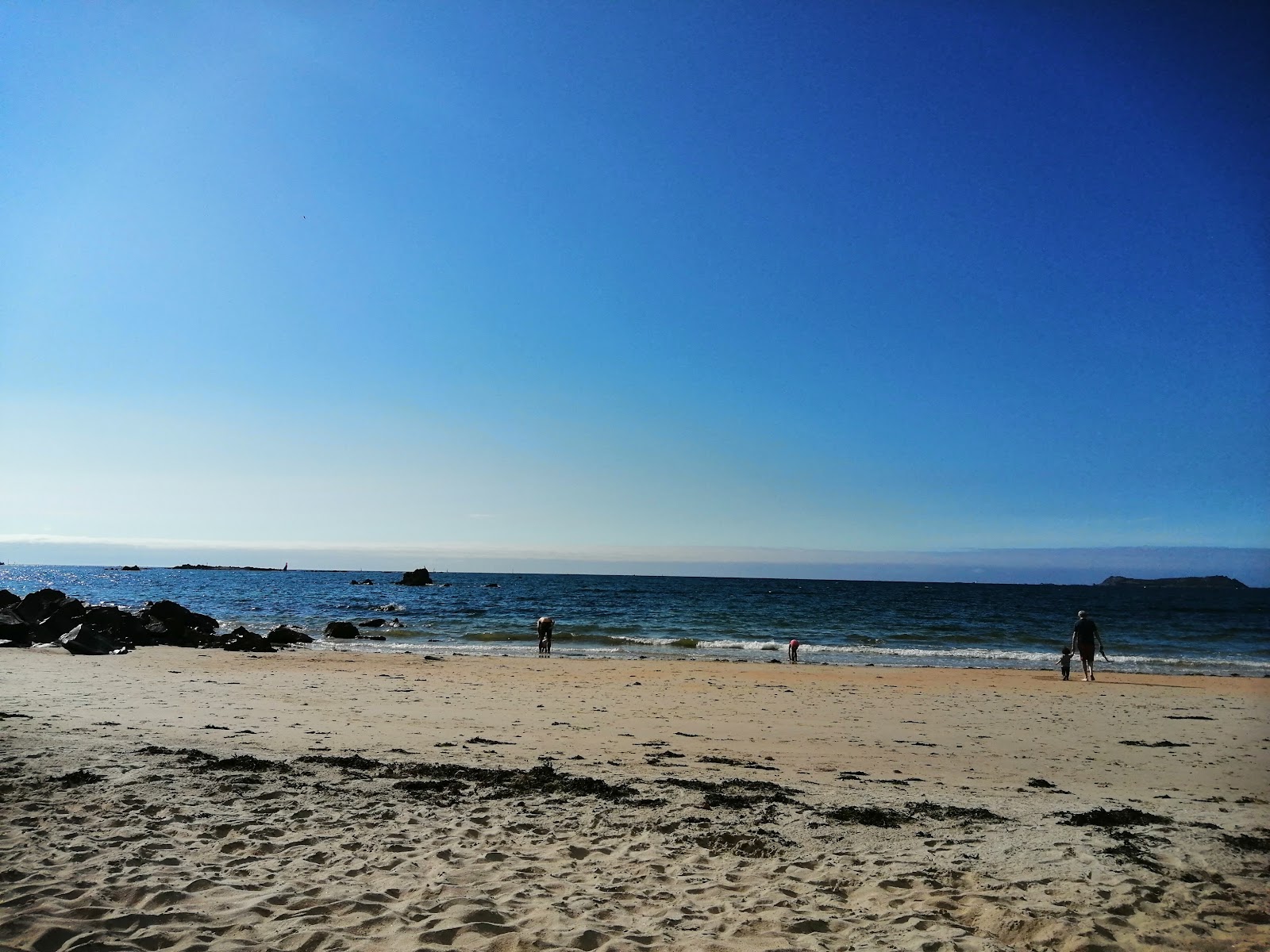 Plage de Notigou'in fotoğrafı vahşi alan